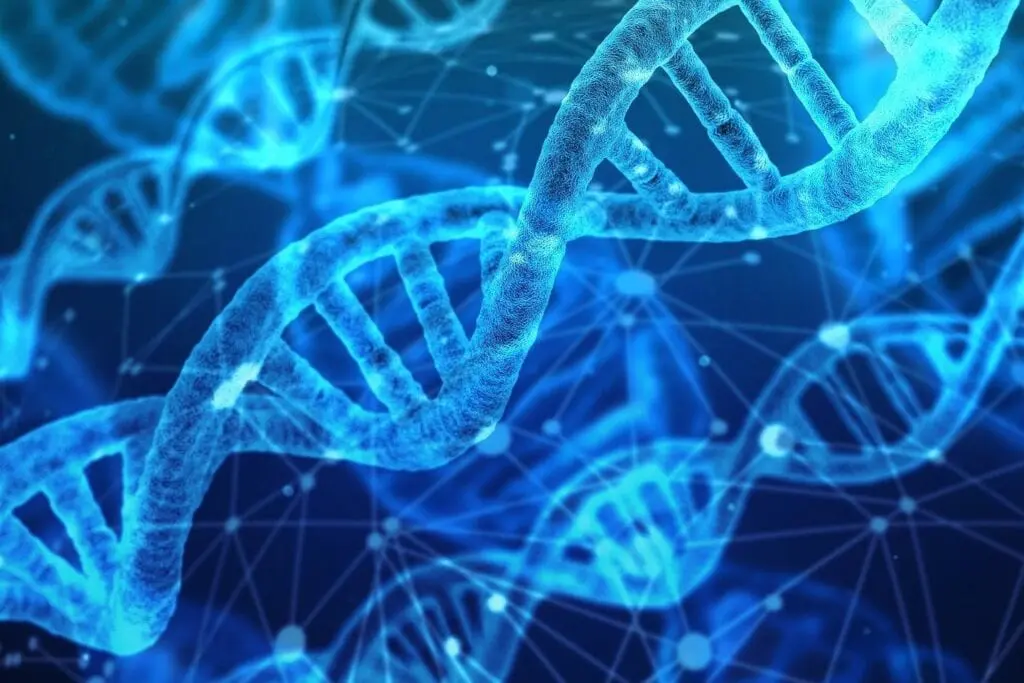 ‘Natuur moet productie weerbaarder maken’ featured image