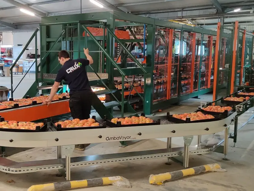 Crux Agribotics weet door middel van data en AI met een slimme robot groenten en fruit te classificeren, te sorteren en te verpakken.